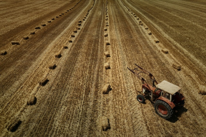 Dans une nouvelle séance crispée, l'Assemblée nationale a adopté dans la nuit de lundi à mardi la loi d'urgence agricole, et la possibilité de réintroduire de manière dérogatoire certains pesticides - Philippe LOPEZ (AFP)